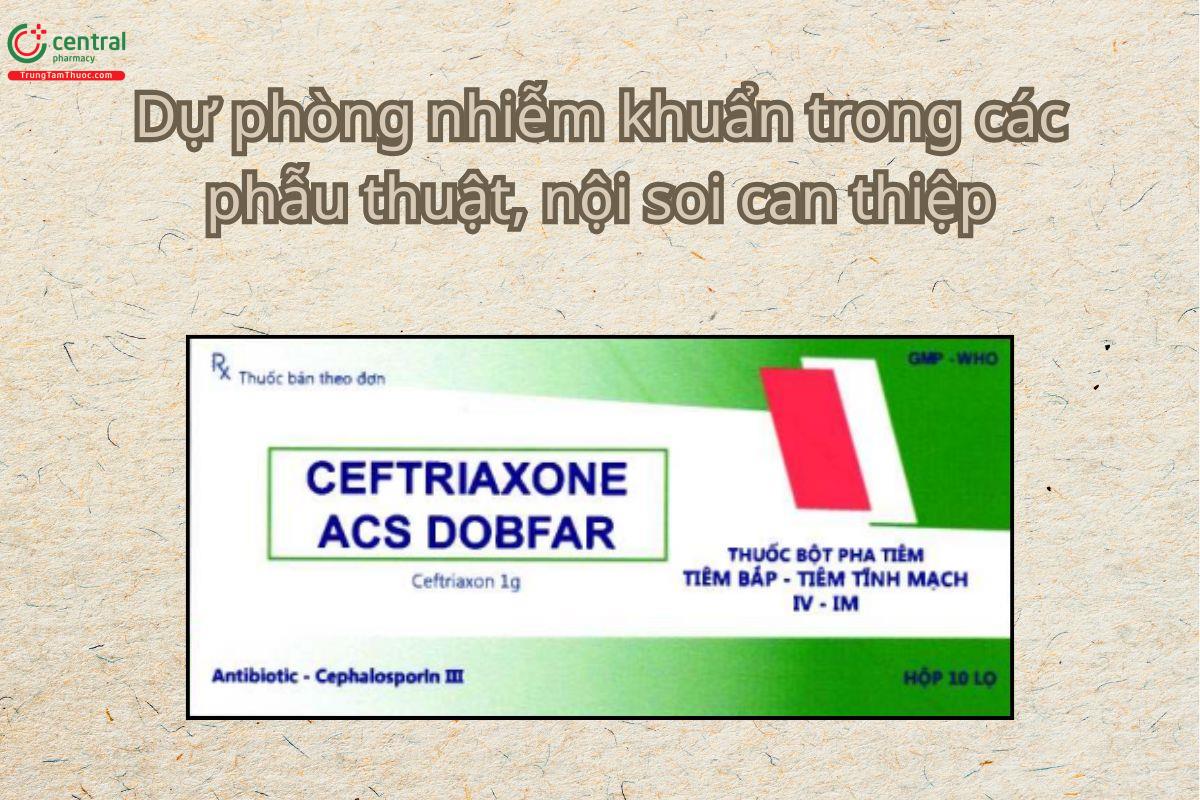 Thuốc Ceftriaxone ACS Dobfar dự phòng nhiễm khuẩn trong phẫu thuật