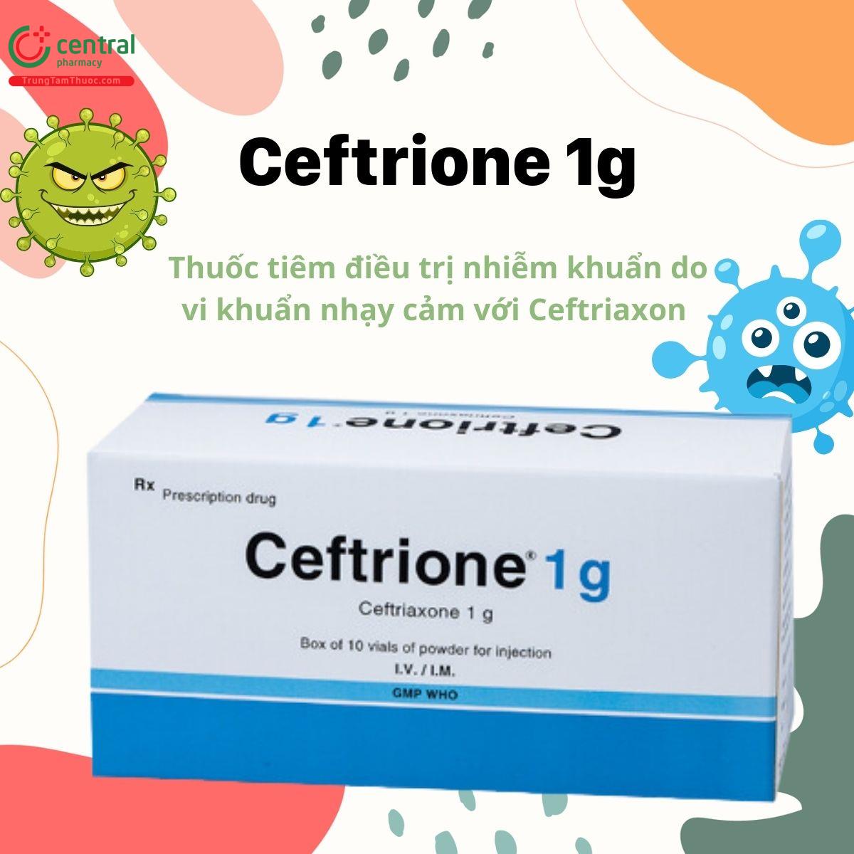 Thuốc Ceftrione 1g điều trị nhiễm khuẩn cho người lớn và trẻ em