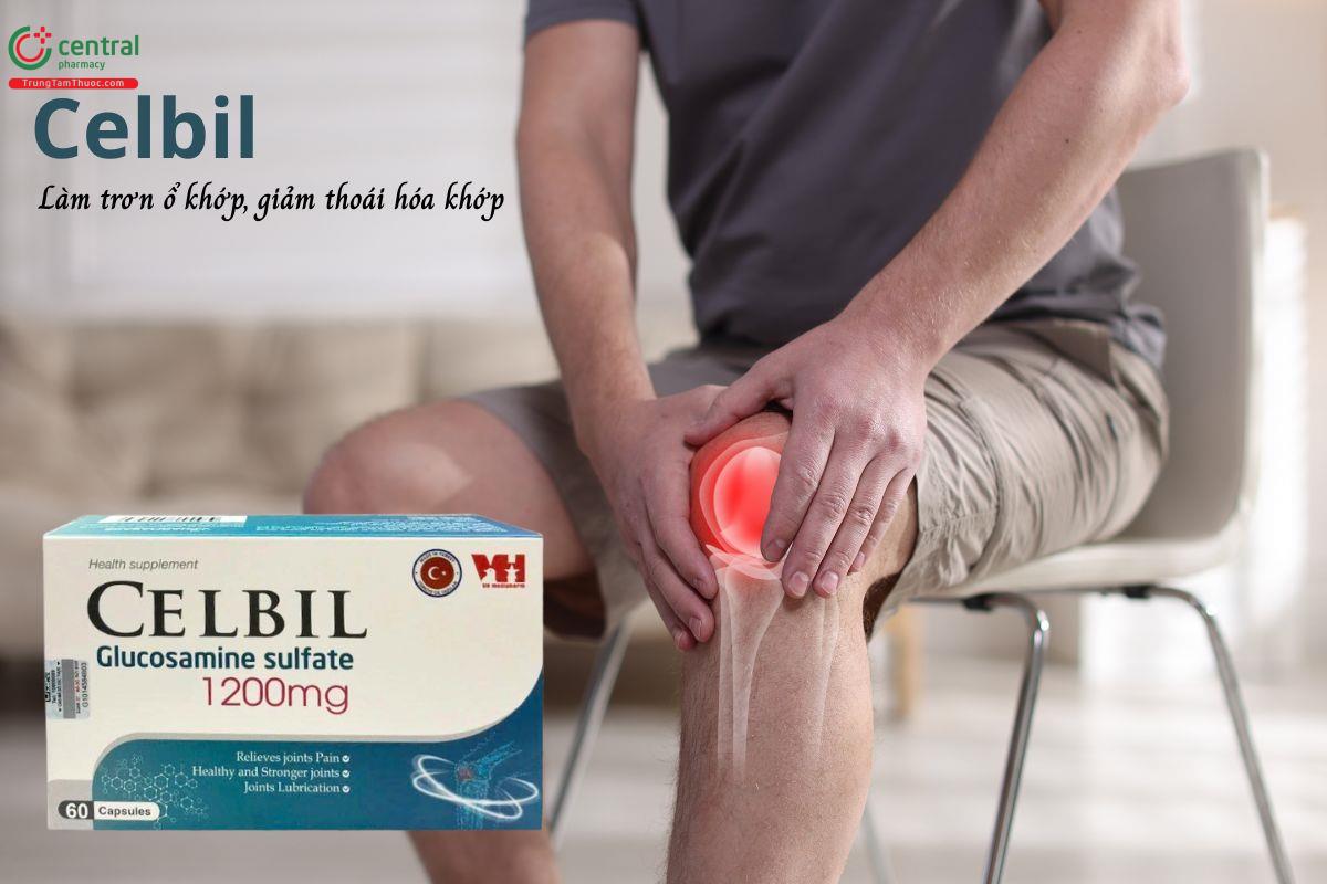 Celbil - Tăng tiết dịch khớp, làm trơn ổ khớp, giảm thoái hóa khớp