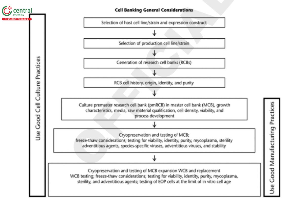 Figure 1. Quality aspects of cell banks for biologics.