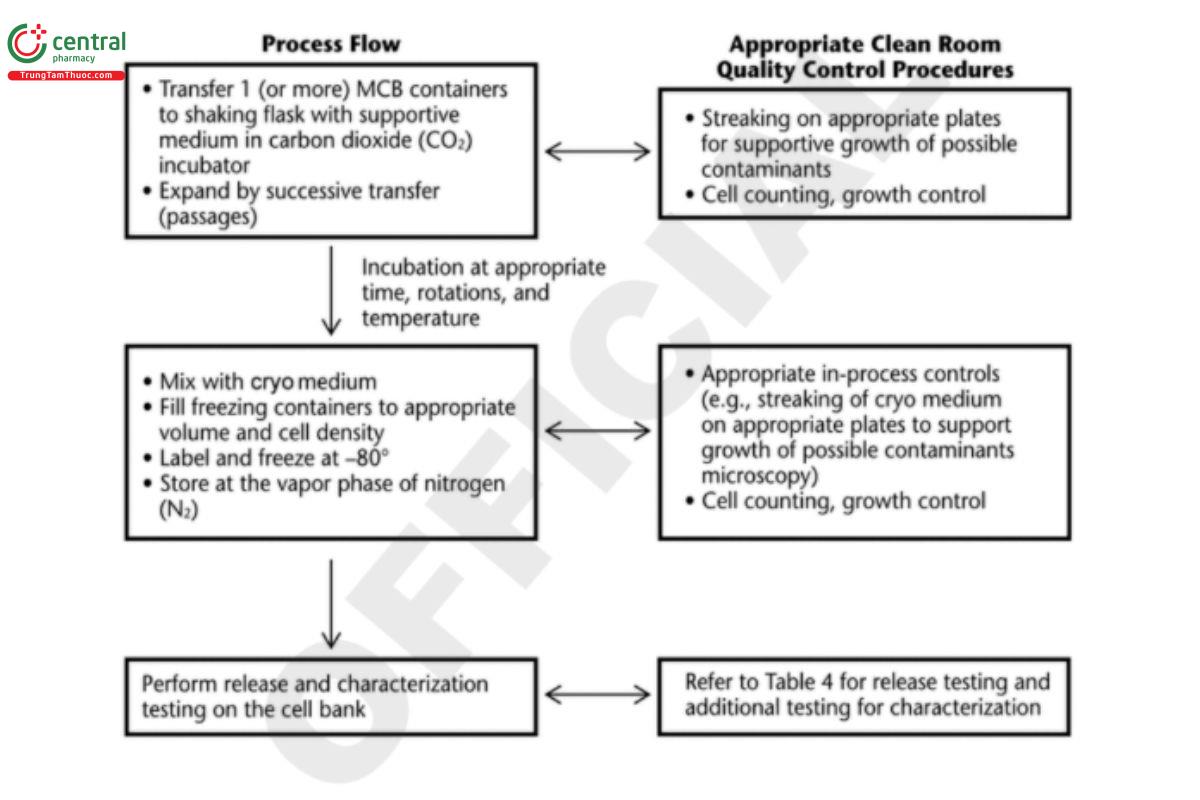 Figure 4. Example of mammalian (CHO) cell bank process.