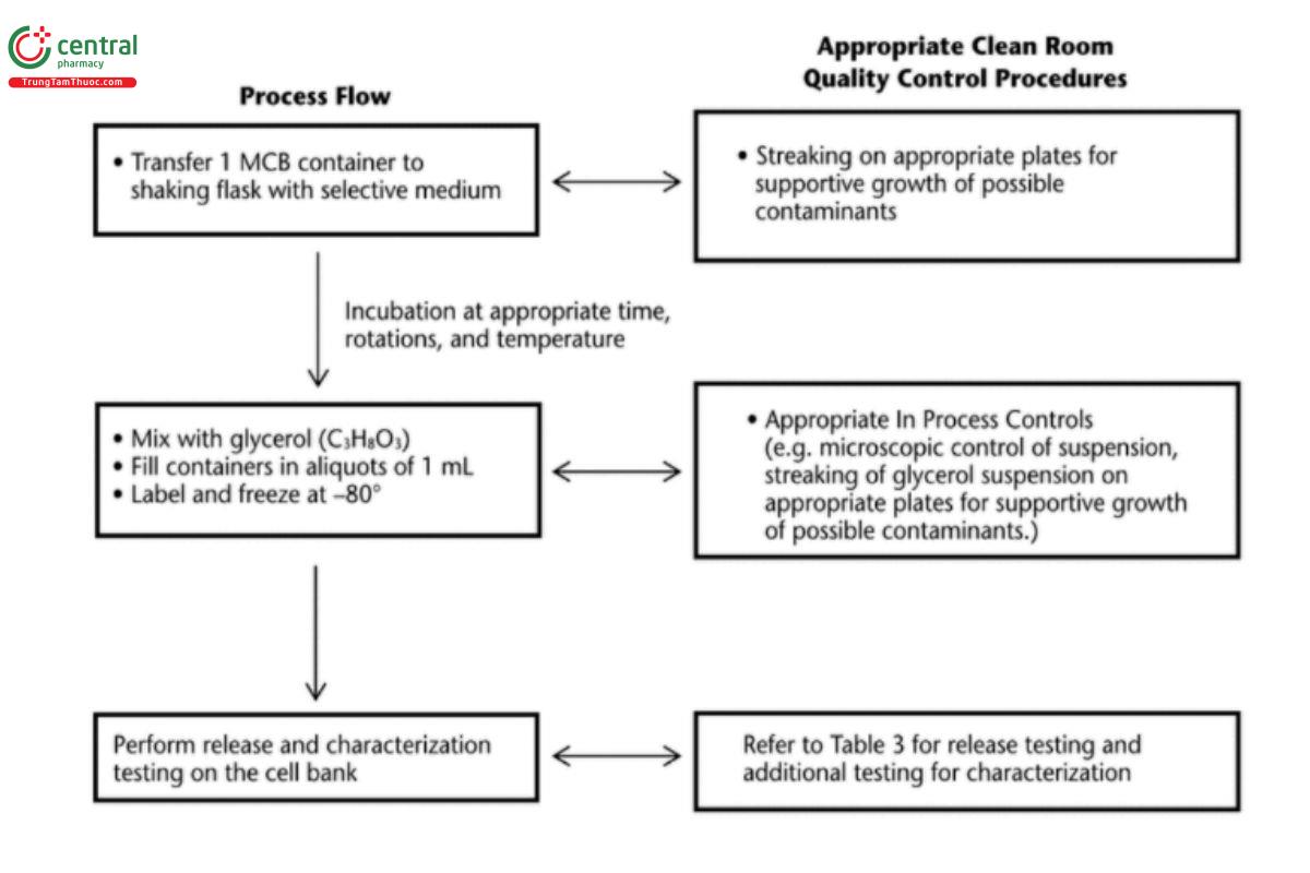 Figure 5. Example of an E. coli WCB batch production process