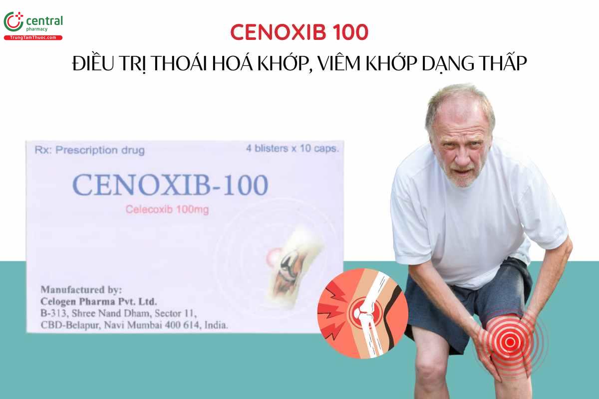Chỉ định Thuốc Cenoxib 100