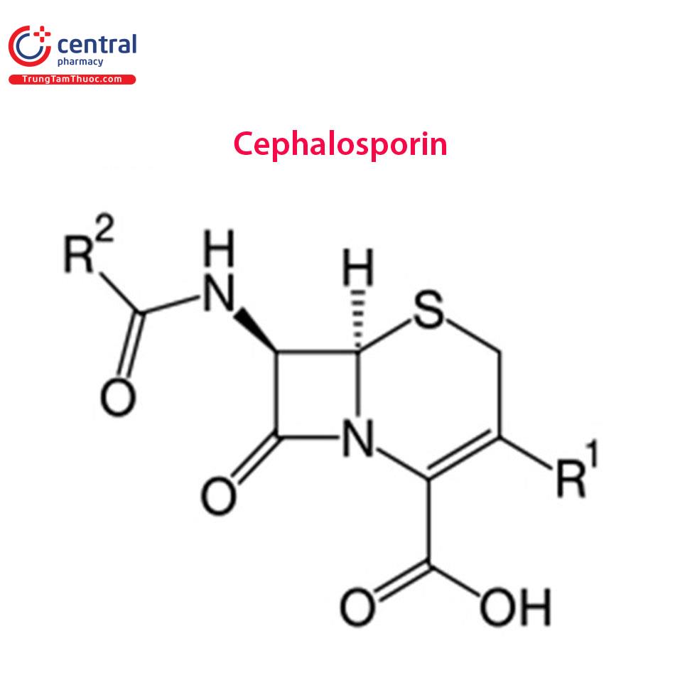 Cấu trúc nhóm kháng sinh Cephalosporin