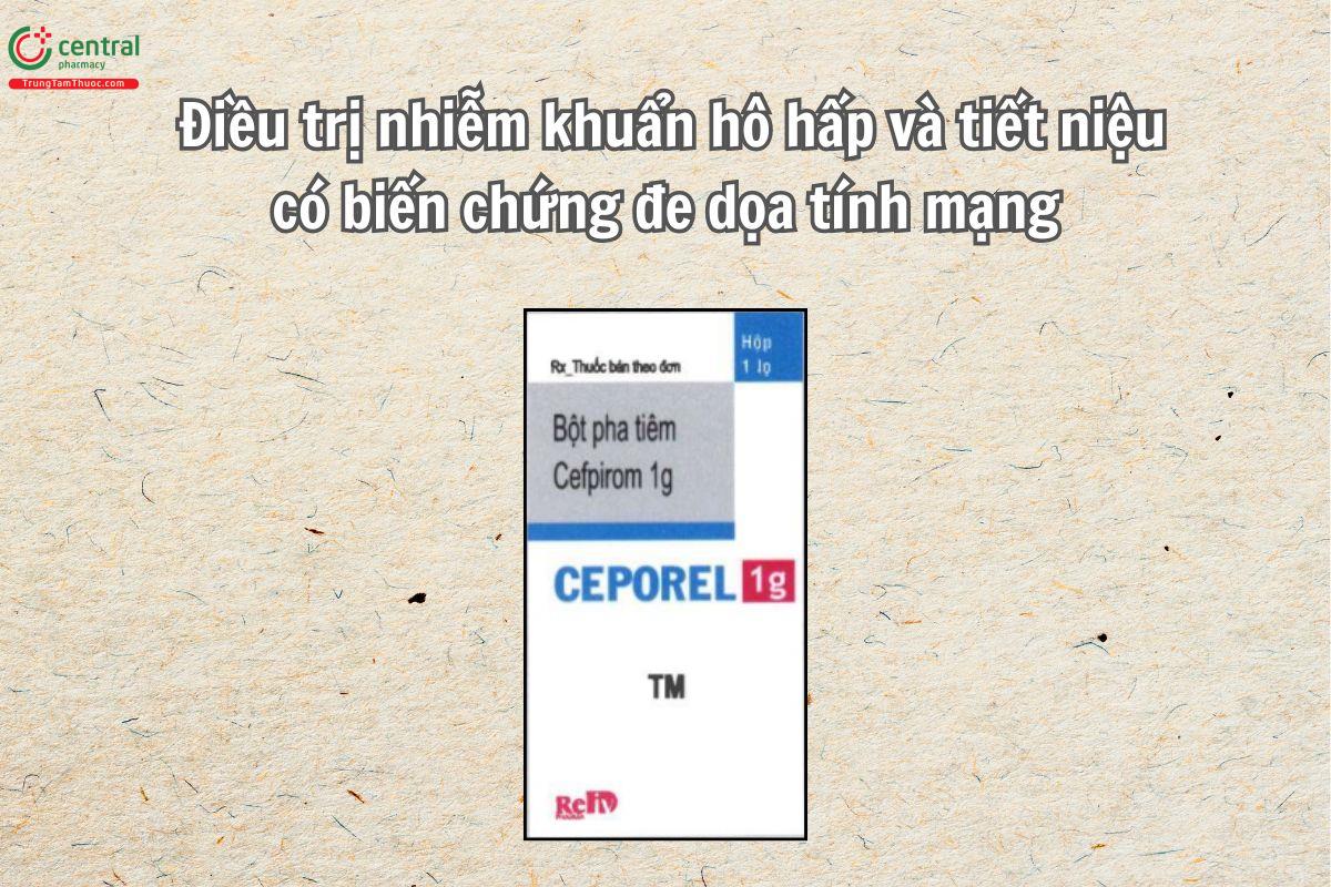 Thuốc Ceporel 1g chỉ được chỉ định sử dụng trong những trường hợp nhiễm khuẩn nghiêm trọng