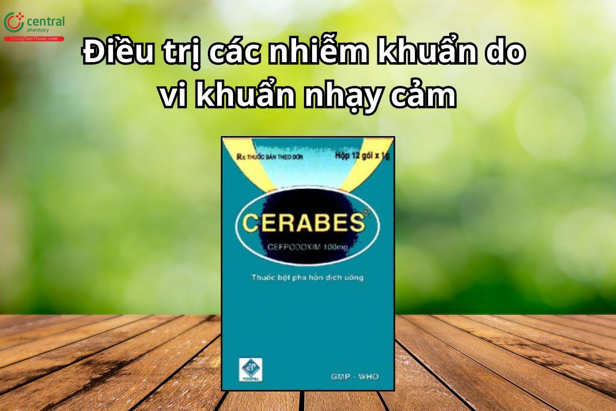 Thuốc Cerabes dùng trong điều trị nhiễm khuẩn đường hô hấp trên và dưới