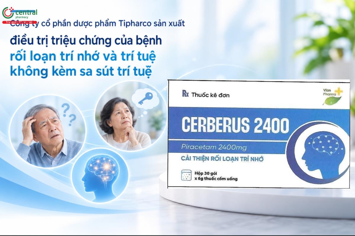 Thuốc Cerberus Piracetam 2400mg điều trị triệu chứng của bệnh rối loạn trí nhớ và trí tuệ không kèm sa sút trí tuệ