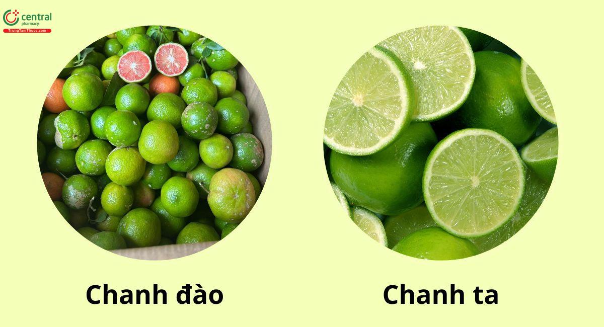 Chanh đào và Chanh ta có giống nhau không?