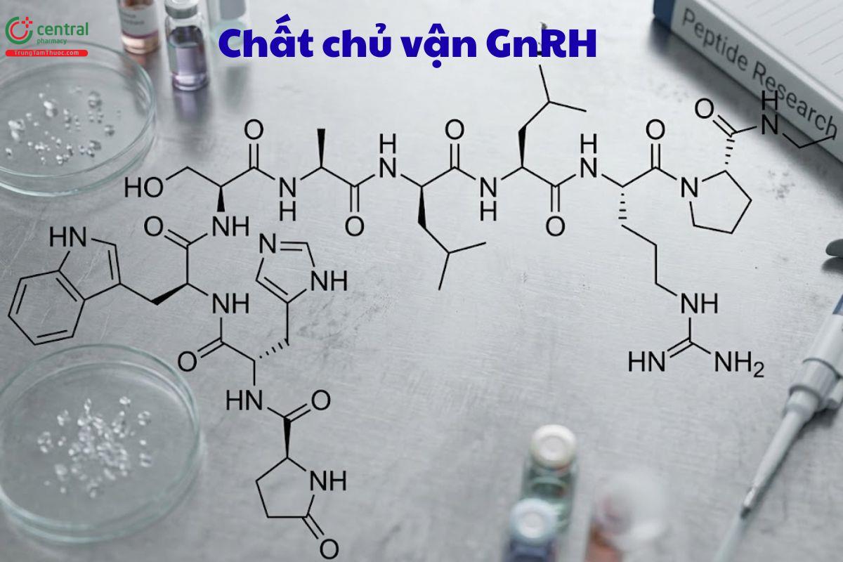 Thuốc chủ vận GnRH được dùng để điều trị rong kinh