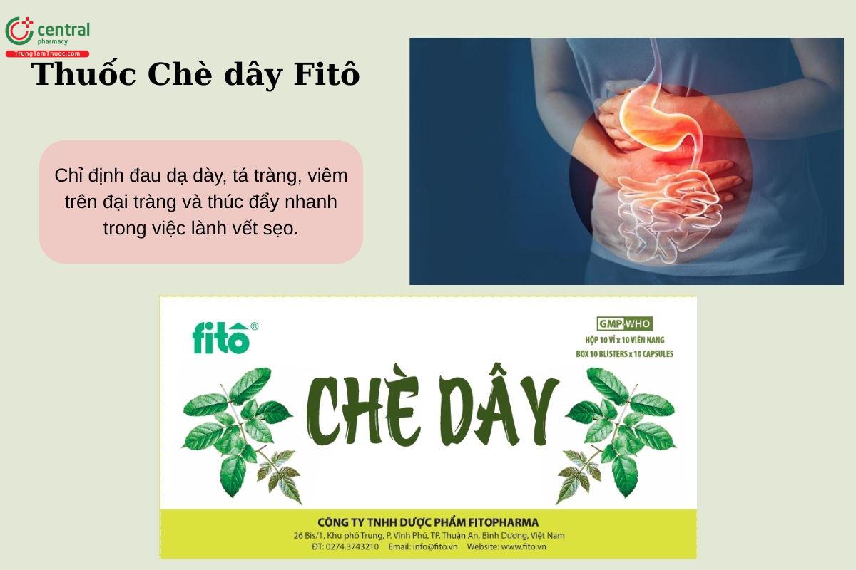 Chỉ định của thuốc Chè dây Fitô 