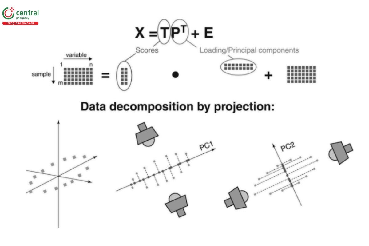 Figure 2. Schematic representation of latent projection techniques.
