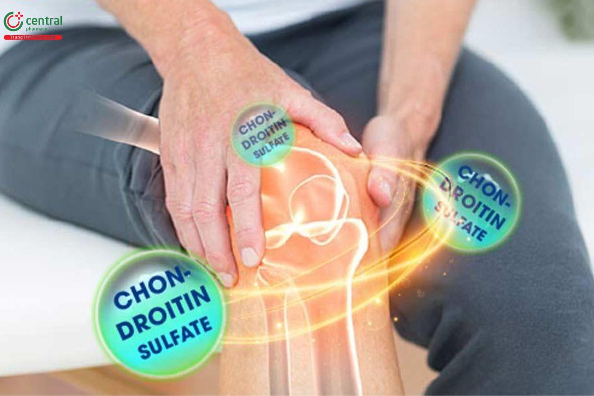 Chondroitin sulfate dùng để điều trị và phòng ngừa thoái hóa khớp