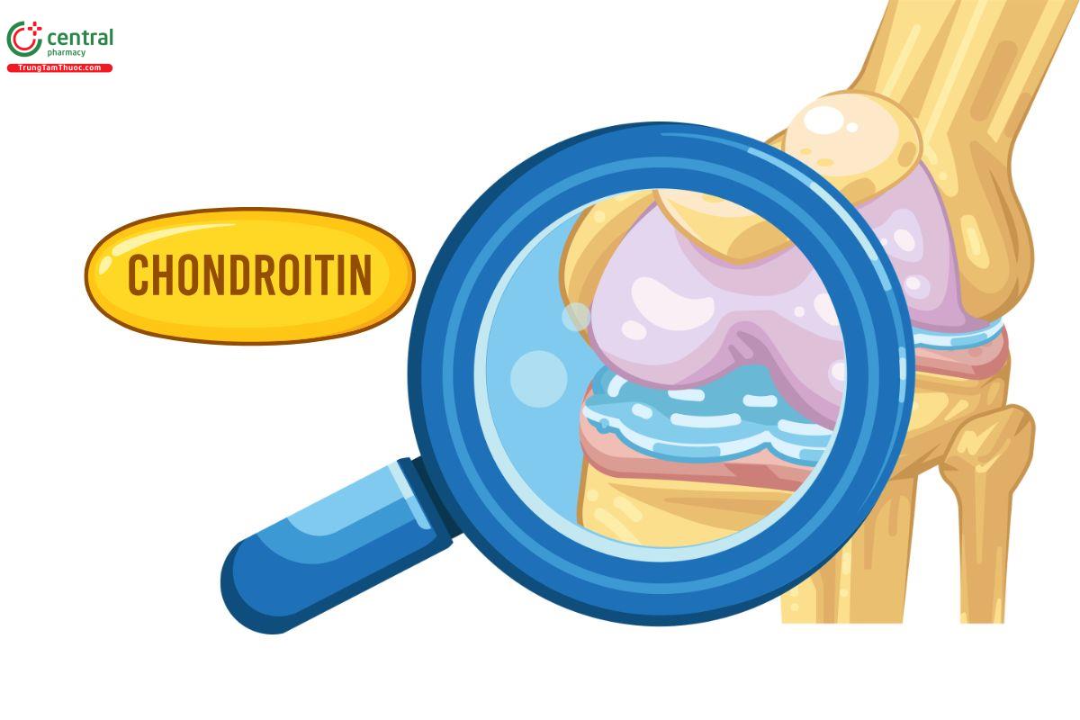 Chondroitin sulfate là một glycosaminoglycan là một trong những thành phần chính có trong sụn.