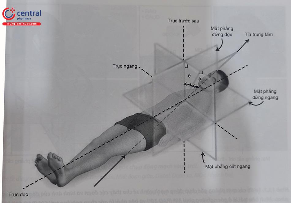 Hình 13.2. Khái niệm về các trục theo hướng cơ thể ứng dụng trong chụp động mạch vành