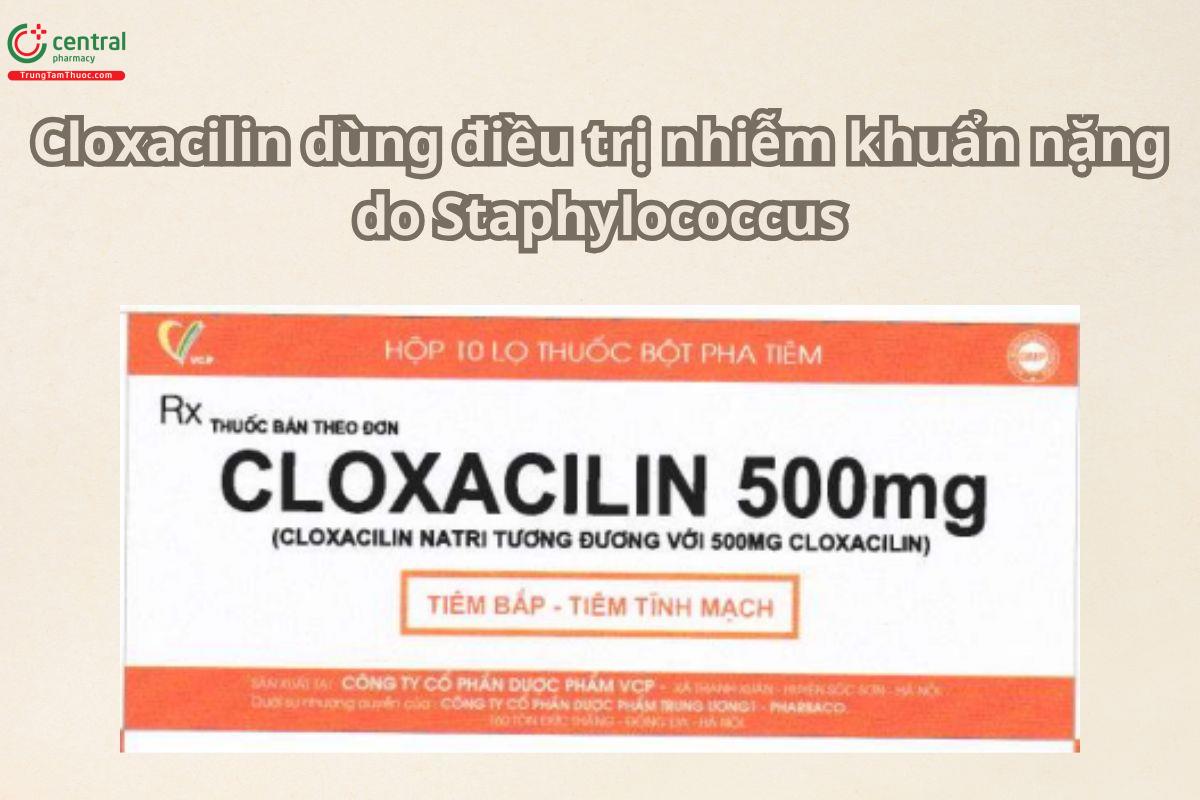 Thuốc Cloxacilin 500mg VCP điều trị viêm xương, viêm khớp do tụ cầu