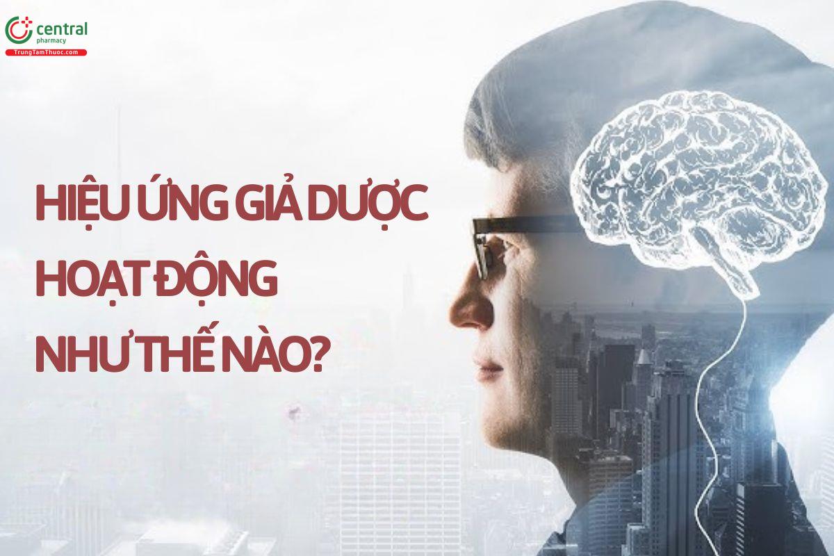 Hiệu ứng Placebo hoạt động như thế nào?