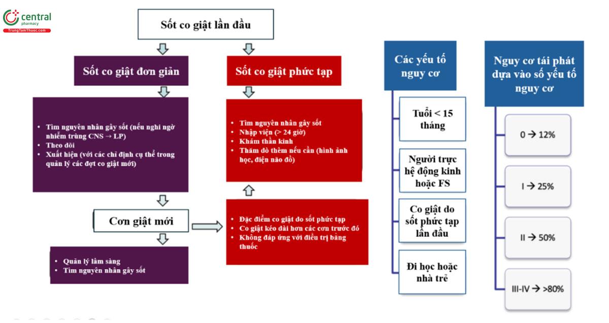 Nguyên nhân co giật do sốt ở trẻ em