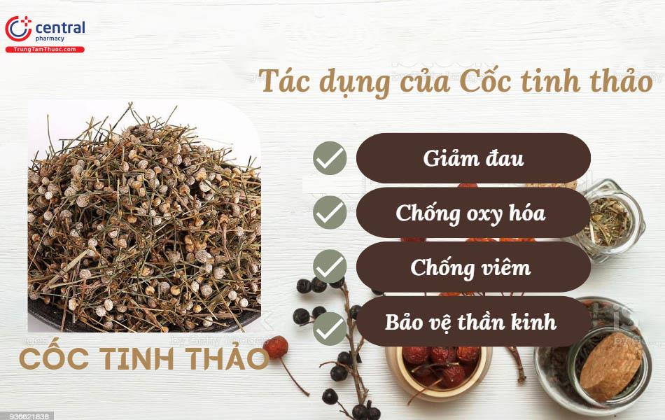 Tác dụng của Cốc tinh thảo