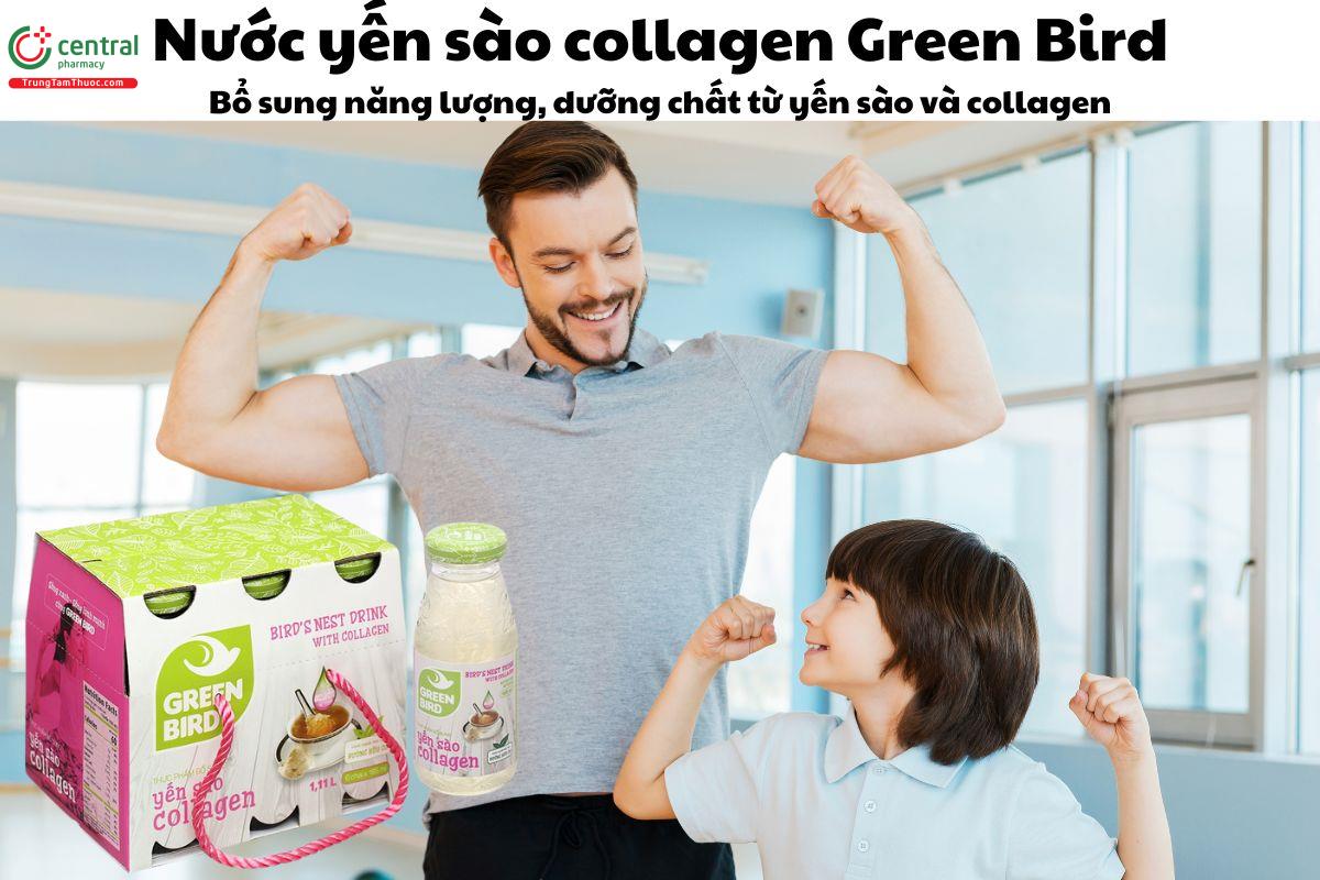 Nước Yến Sào Collagen Green Bird - Giúp bổ sung dinh dưỡng 