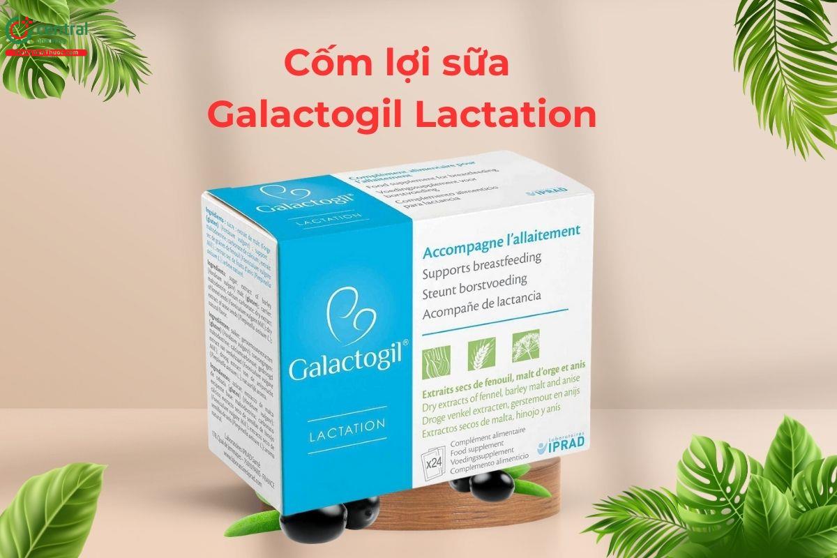 Cốm lợi sữa Galactogil Lactation