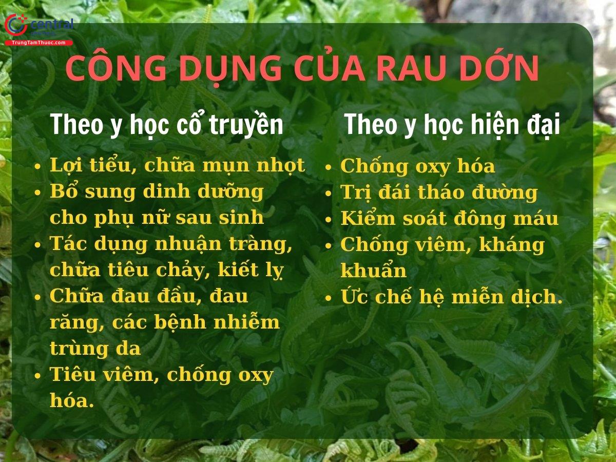 Công dụng của cây Rau dớn