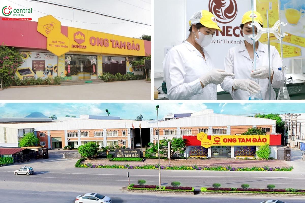 Công ty cổ phần Ong Tam Đảo (Honeco) có hơn 60 năm kinh nghiệm nuôi ong gia truyền