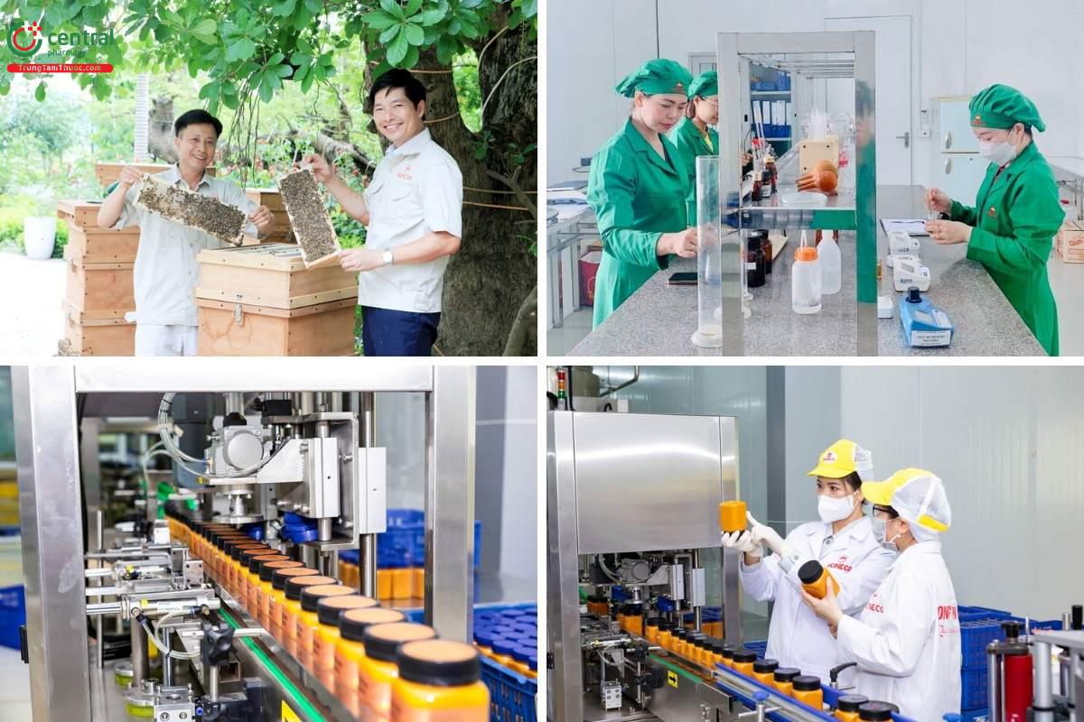Công nghệ và quy mô sản xuất của Công ty cổ phần Ong Tam Đảo (Honeco)