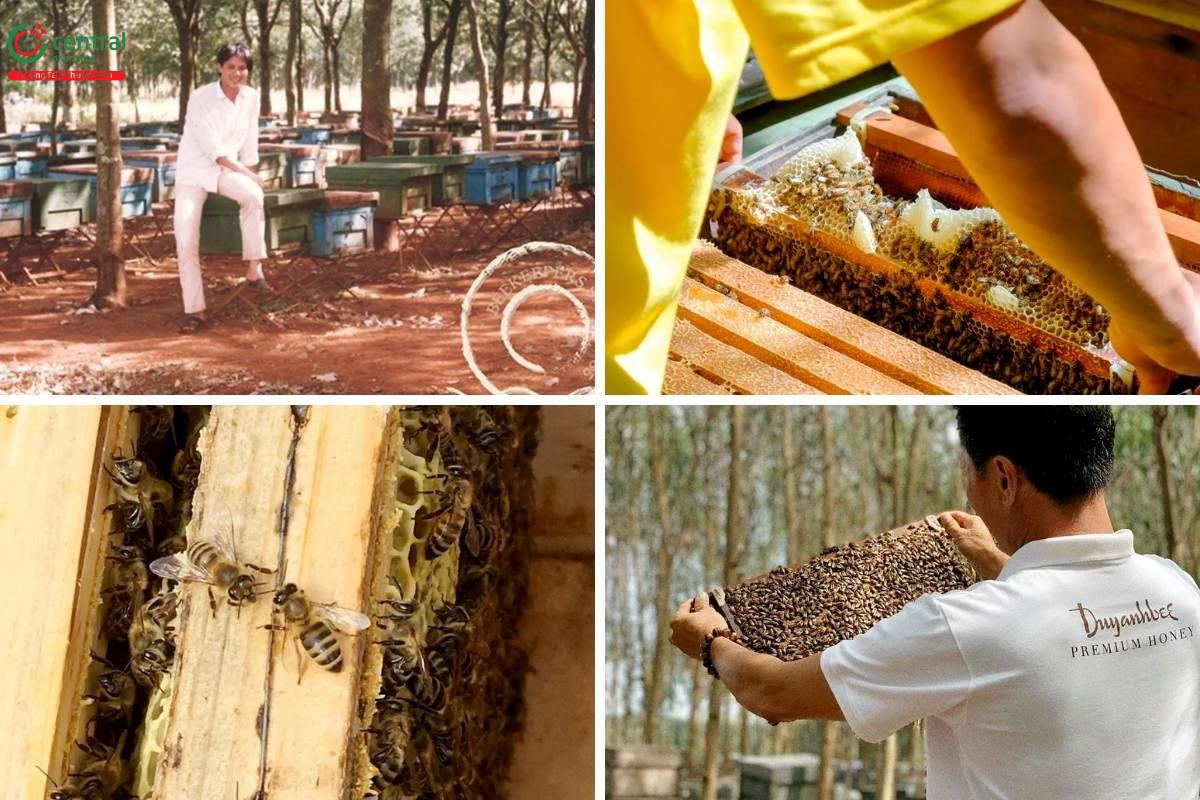 Công ty TNHH Duy Anh Bee (Miele) mong muốn mang tới các giá trị cho mật ong Việt Nam