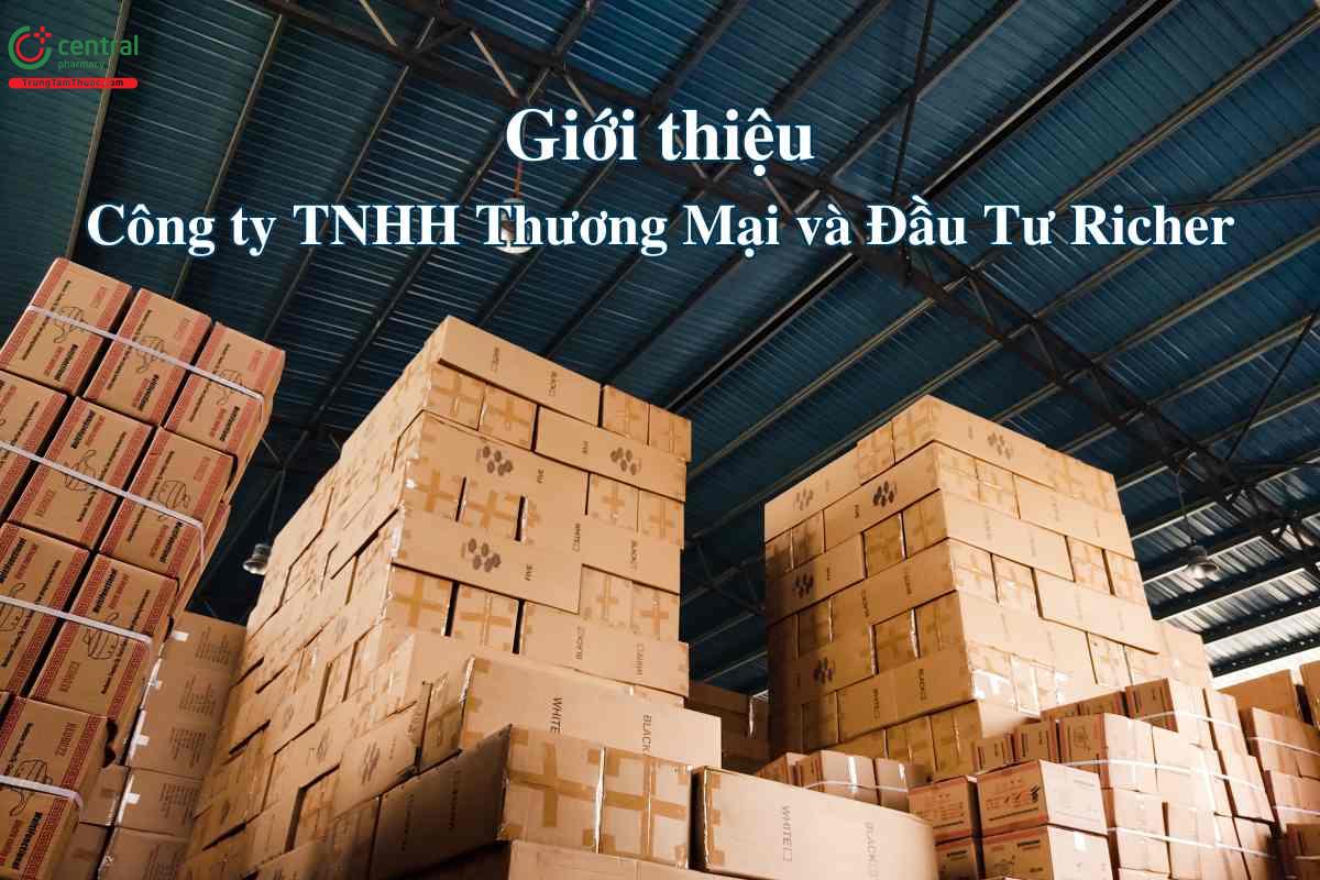 Giới thiệu công ty