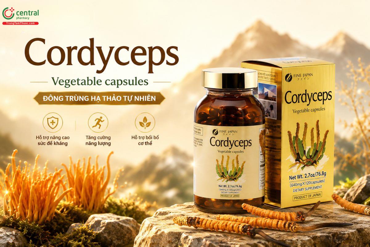 Cordyceps Fine Japan giúp bồi bổ phế, thận, tăng cường sức khỏe