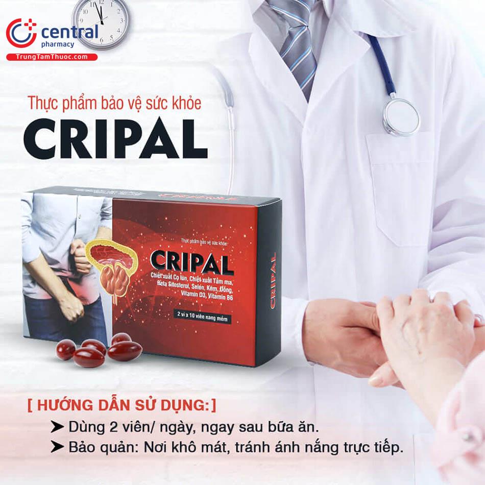 Cripal hỗ trợ điều trị phì đại tiền liệt tuyến