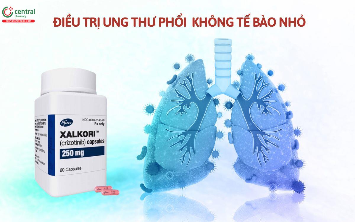 Thuốc  Xalkori