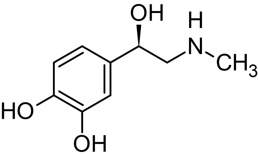Cấu trúc hoá học của Epinephrine