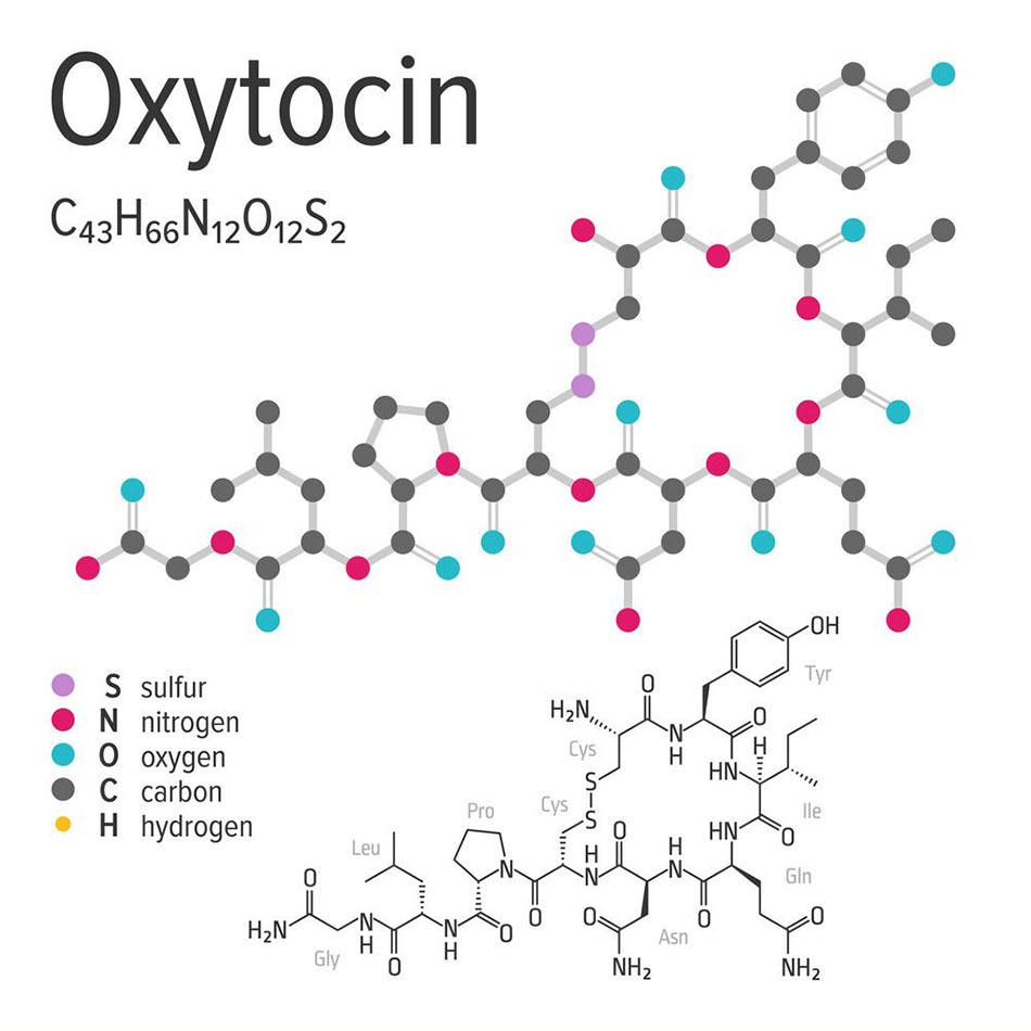 Cấu trúc hoá học của hormon Oxytocin