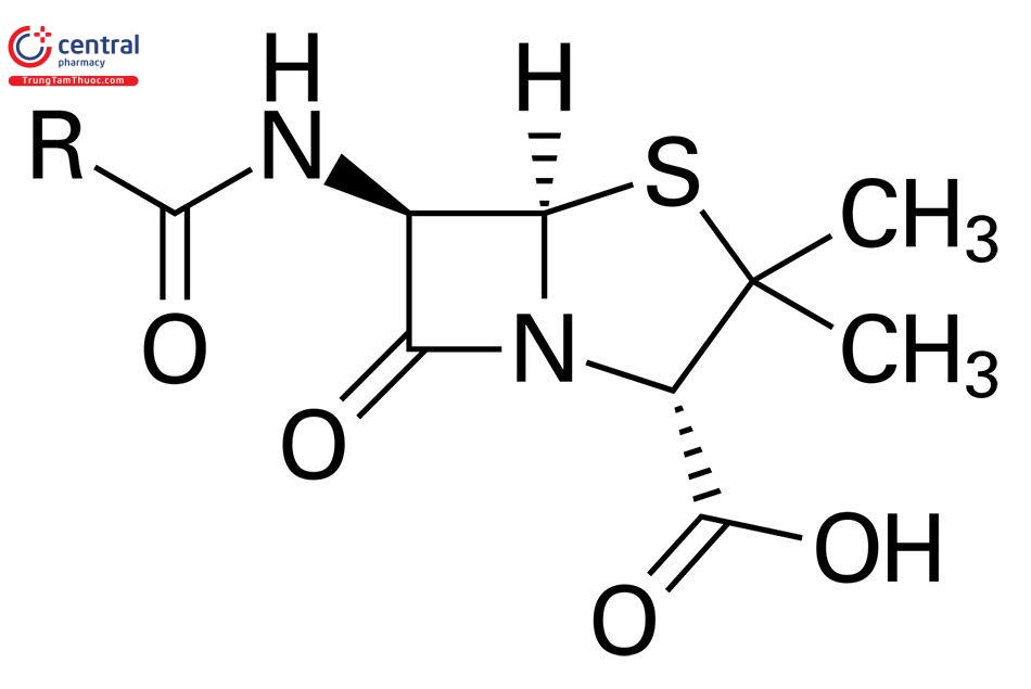 Cấu trúc hoá học nhóm Penicillin