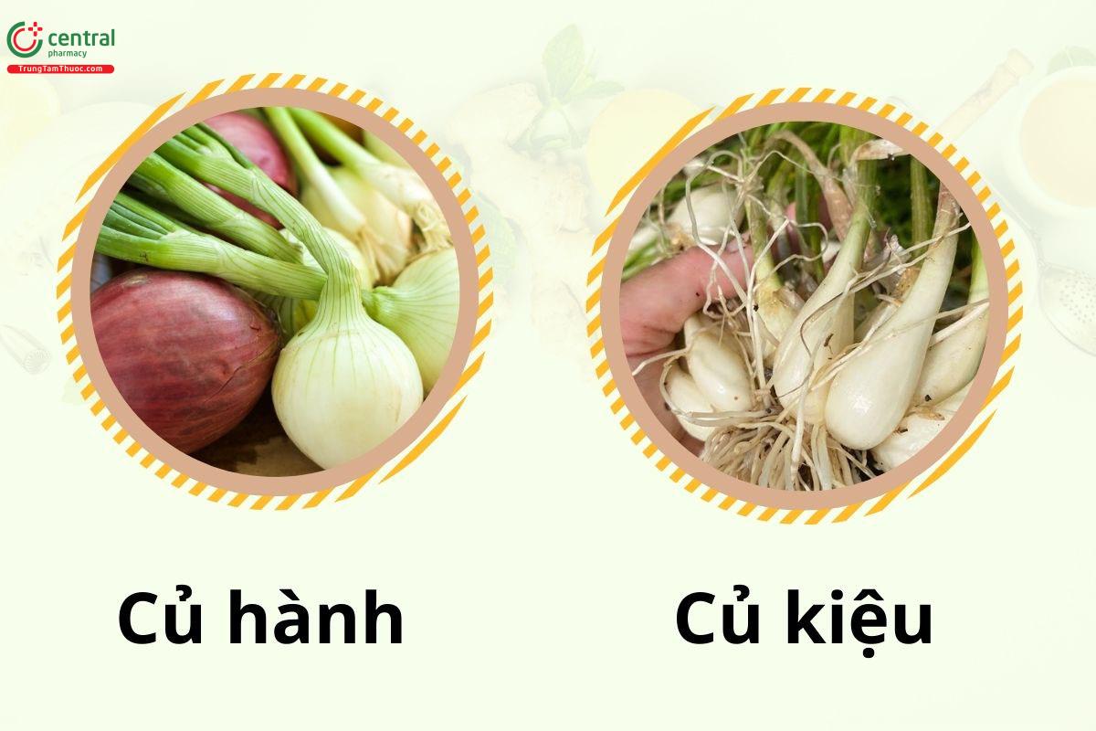 Phân biệt củ kiệu và củ hành