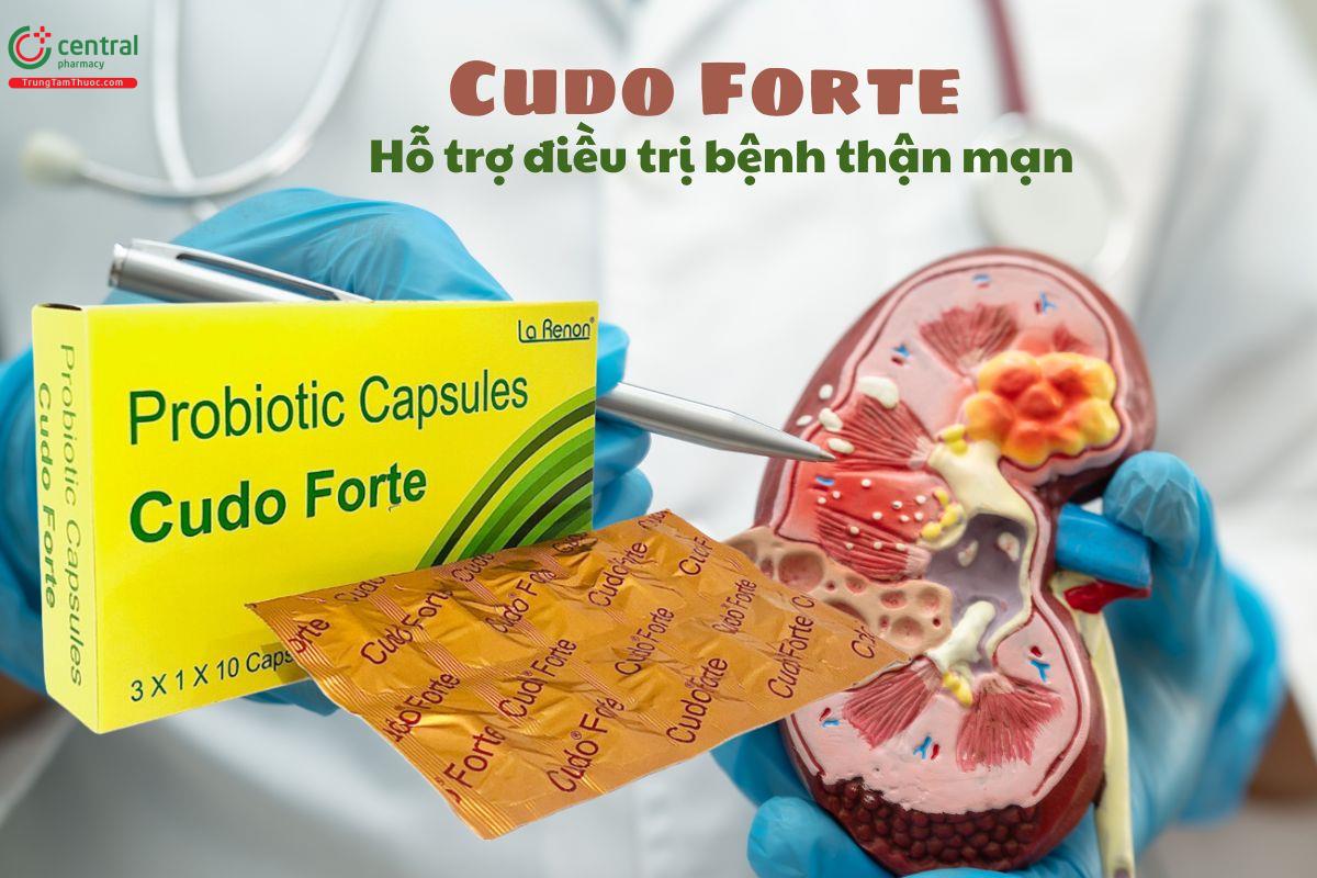 Cudo Forte - Cải thiện chỉ số nito ure máu cho người bệnh thận mạn