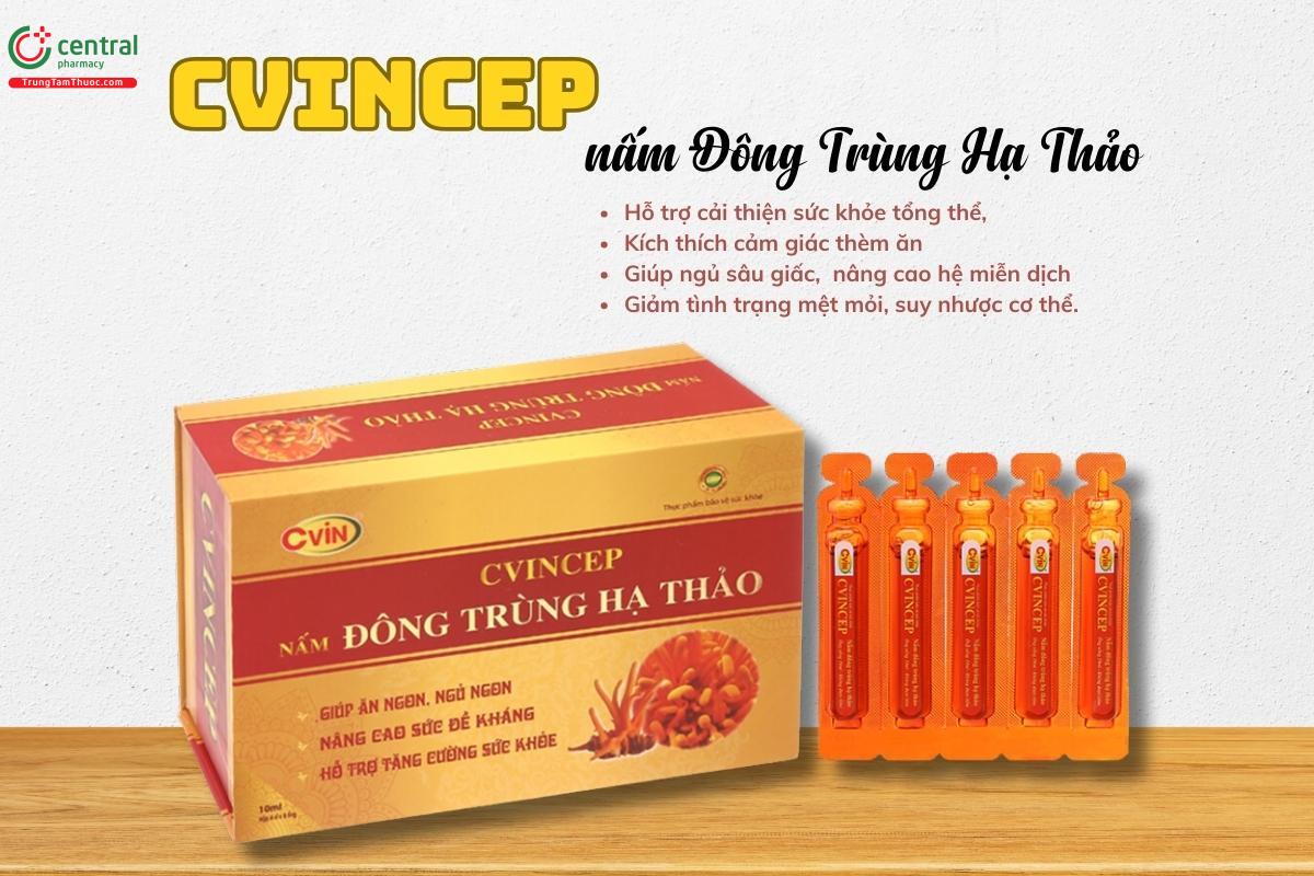 Cvincep nấm Đông Trùng Hạ Thảo nâng cao hệ miễn dịch