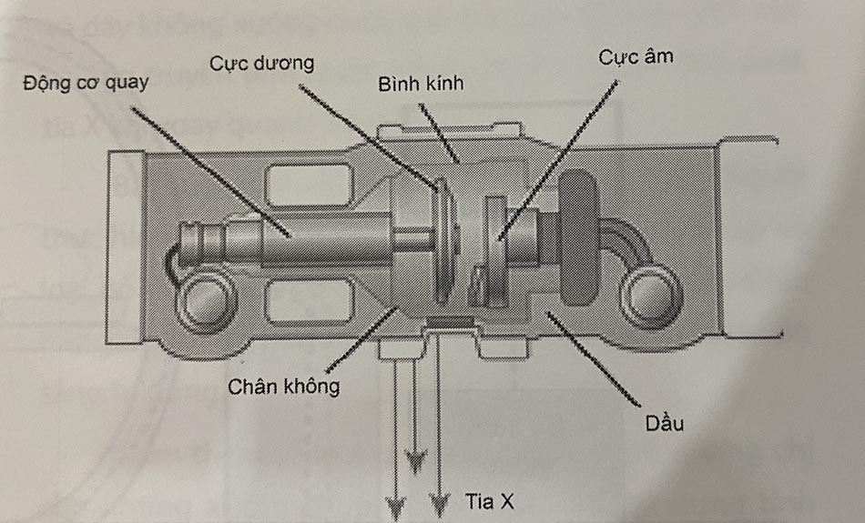 Hình 2.1. Sơ đồ bóng đèn phát ra tia X sử dụng trong hệ thống chụp tim mạch. Bóng đèn phát tia X về cơ bản là một buồng kim loại bảo vệ các thành phần bên trong và hỗ trợ cung cấp điện áp và làm mát khi cần thiết, với hệ thống chính được chứa trong bình chân không thủy tinh.