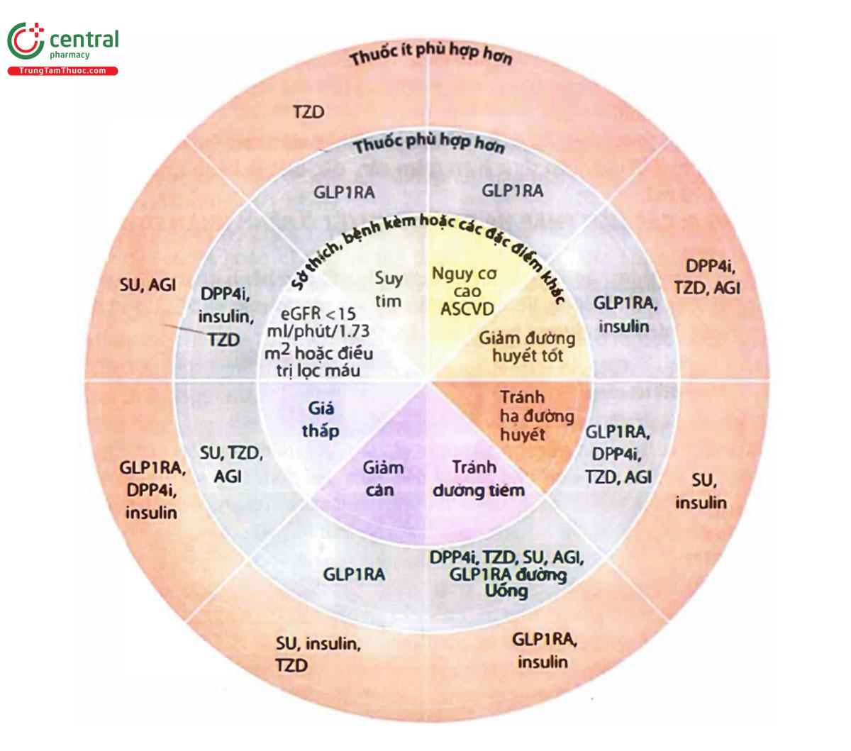 Hình 7. Các yếu tố của người bệnh ảnh hưởng đến lựa chọn thuốc hạ đường huyết ngoài SGLT2i và metformin ở bệnh nhân ĐTĐ type 2 và CKD