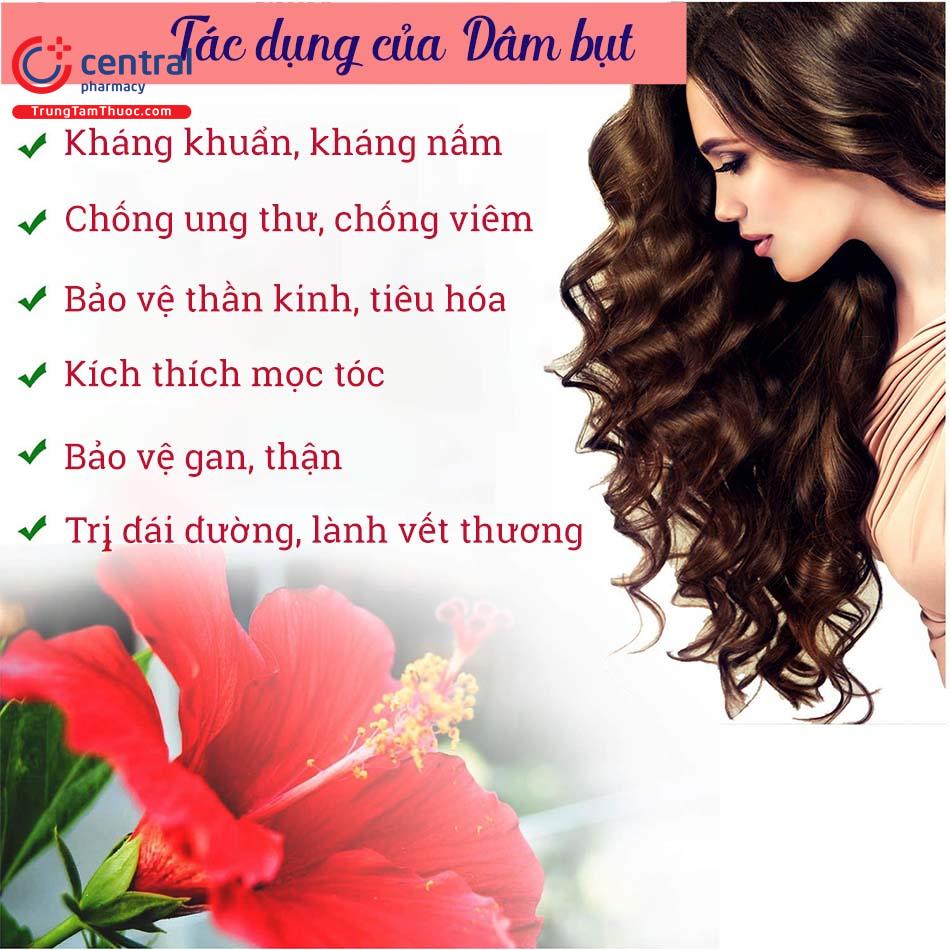 Tác dụng của Dâm bụt