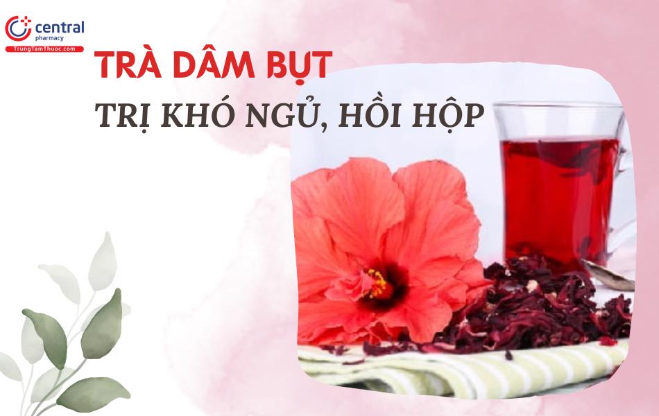 Trà hoa Dâm bụt trị hồi hộp, khó ngủ