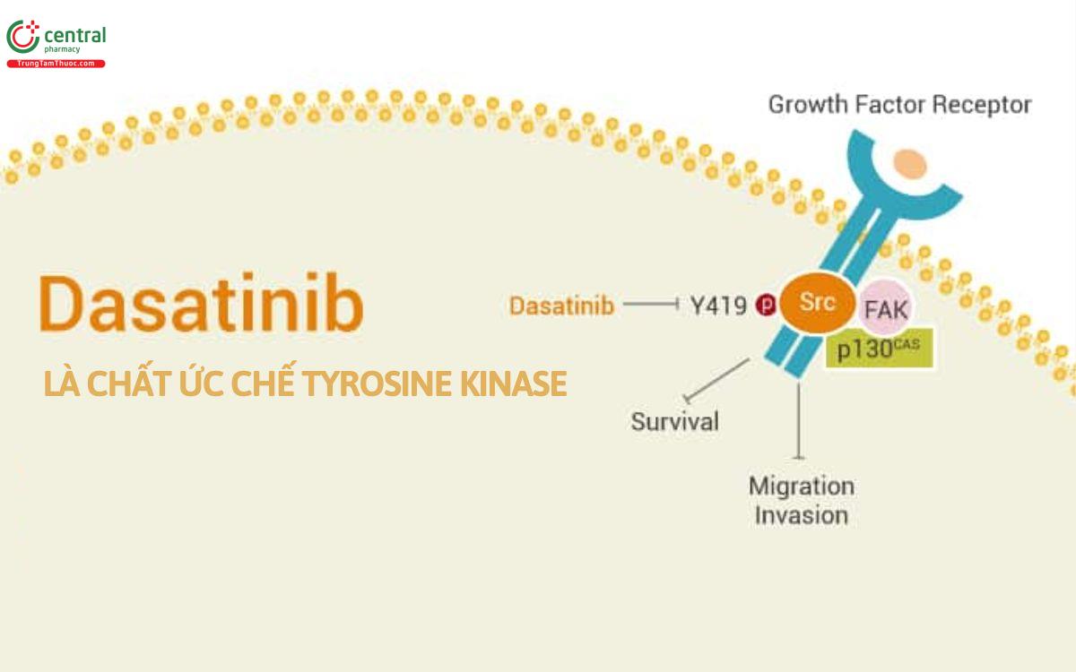 Cơ chế Dasatinib