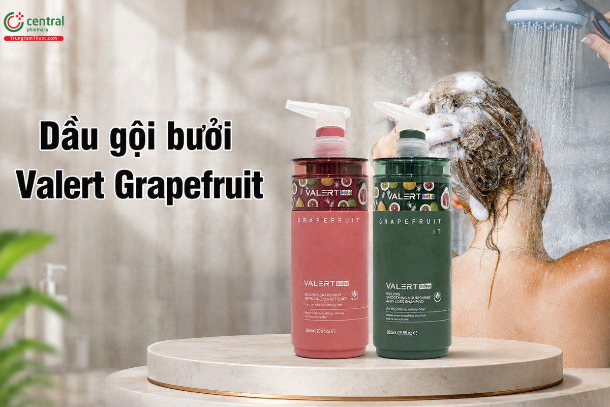 Bộ dầu gội xả bưởi Valert Grapefruit