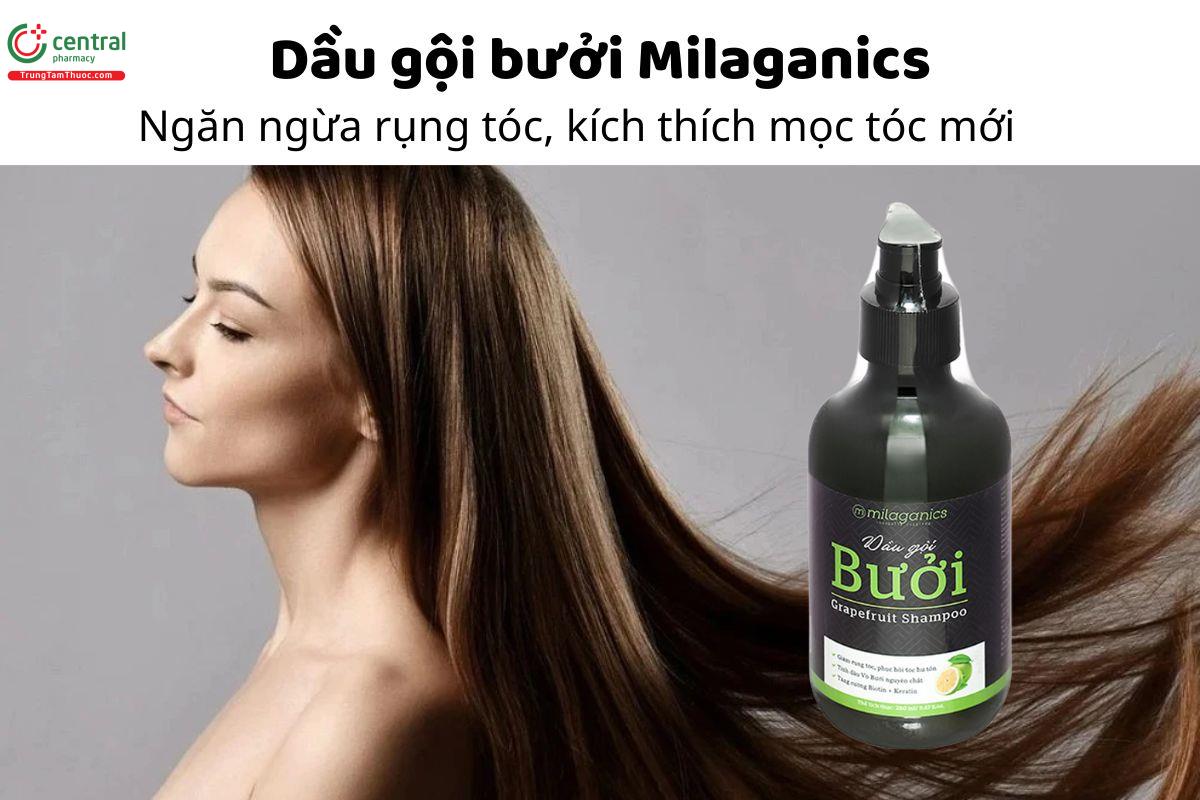 Dầu gội bưởi Milaganics - Ngăn ngừa rụng tóc, kích thích mọc tóc mới