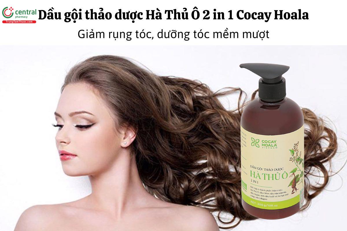 Dầu gội thảo dược Hà Thủ Ô 2 in 1 Cocay Hoala - Giảm rụng tóc, dưỡng tóc mềm mượt