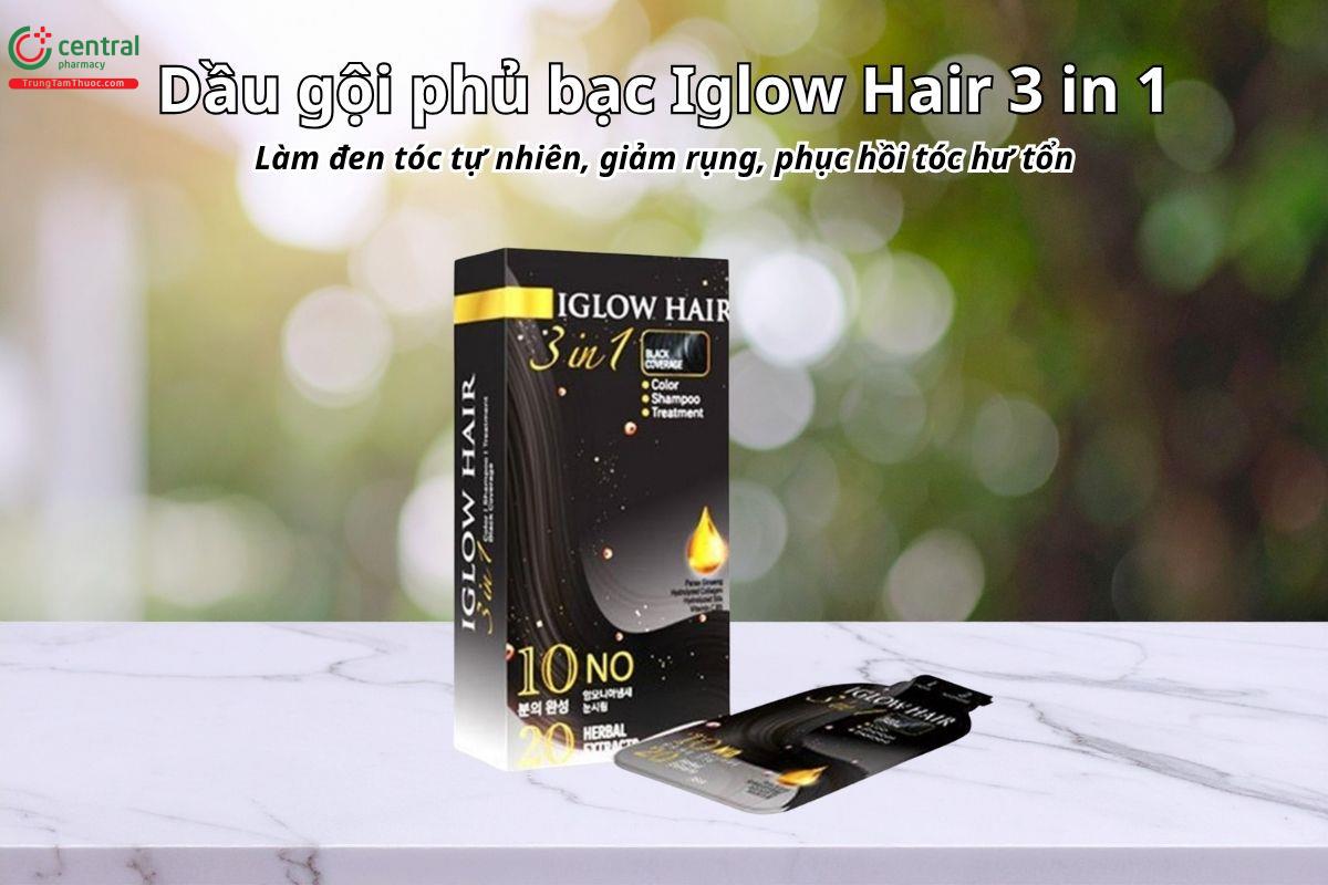 Dầu gội phủ bạc Iglow Hair 3 in 1 - Làm đen tóc tự nhiên, giảm rụng, phục hồi tóc hư tổn