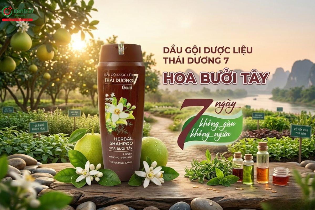 Dầu gội dược liệu Thái Dương 7