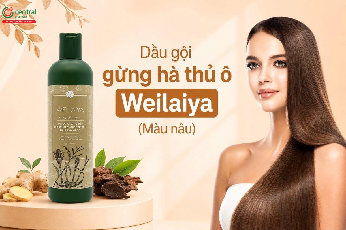 Dầu gội gừng hà thủ ô Weilaiya Hair Strength