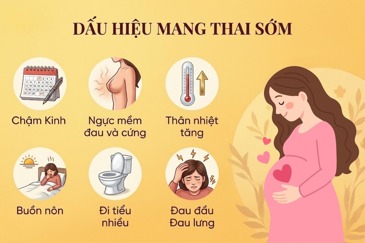 Các dấu hiệu mang thai sớm